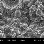 SEM of fractured fly ash-based geopolymer.
